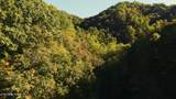 69.26 AC Wolfe Rd - Photo 18
