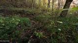 69.26 AC Wolfe Rd - Photo 21