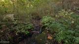 69.26 AC Wolfe Rd - Photo 22