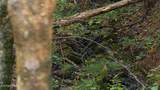 69.26 AC Wolfe Rd - Photo 24