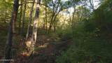 69.26 AC Wolfe Rd - Photo 25