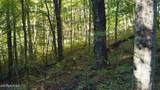 69.26 AC Wolfe Rd - Photo 26