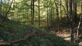 69.26 AC Wolfe Rd - Photo 27