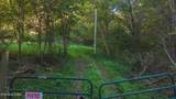 69.26 AC Wolfe Rd - Photo 3