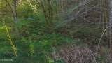 69.26 AC Wolfe Rd - Photo 4