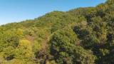 69.26 AC Wolfe Rd - Photo 7