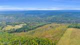 64.23 Ac Worley Rd - Photo 4