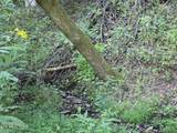  Pumpkin Valley Rd - Photo 23