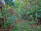 0 Claude Bolden Lane - Photo 5