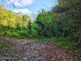 0 Claude Bolden Lane - Photo 7