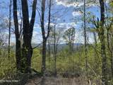 103 AC Harrison Ferry Rd - Photo 4