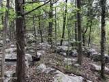 103 AC Harrison Ferry Rd - Photo 5