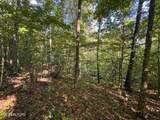 32.38  AC Off Panther Creek Rd - Photo 23