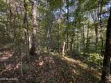 32.38  AC Off Panther Creek Rd - Photo 25