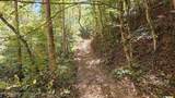 1876 Upper Middle Creek Rd - Photo 20