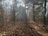  10.77 Acres - Valerie Drive - Photo 11