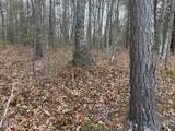  10.77 Acres - Valerie Drive - Photo 12