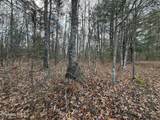  10.77 Acres - Valerie Drive - Photo 13