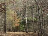  10.77 Acres - Valerie Drive - Photo 4
