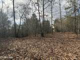  10.77 Acres - Valerie Drive - Photo 7