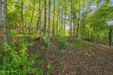 Lakewood Rd - Photo 9