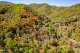 716 Tanasi Trail - Photo 15