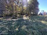 Lot 1 Cherokee Cove - Photo 6