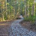 2036 Helenwood Detour Rd - Photo 10