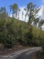 Lot 529 Deep Hollow Rd - Photo 1