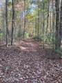 92+- Acres Dogwood Rd - Photo 12