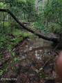 92+- Acres Dogwood Rd - Photo 14