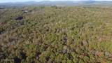 92+- Acres Dogwood Rd - Photo 4