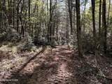 18.6 Acres Cave Branch Rd - Photo 10
