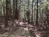 18.6 Acres Cave Branch Rd - Photo 11