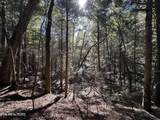 18.6 Acres Cave Branch Rd - Photo 14