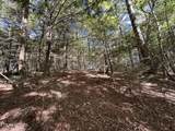 18.6 Acres Cave Branch Rd - Photo 15