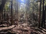 18.6 Acres Cave Branch Rd - Photo 16