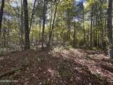 18.6 Acres Cave Branch Rd - Photo 19