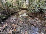 18.6 Acres Cave Branch Rd - Photo 3