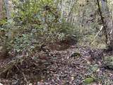 18.6 Acres Cave Branch Rd - Photo 5