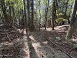 18.6 Acres Cave Branch Rd - Photo 6