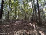 18.6 Acres Cave Branch Rd - Photo 8