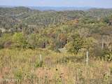 TBD Copper Ridge Rd - Photo 11