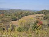 TBD Copper Ridge Rd - Photo 12