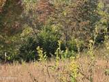 TBD Copper Ridge Rd - Photo 16