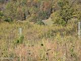 TBD Copper Ridge Rd - Photo 18