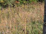TBD Copper Ridge Rd - Photo 19