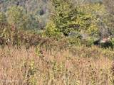 TBD Copper Ridge Rd - Photo 20