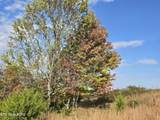 TBD Copper Ridge Rd - Photo 22