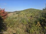 TBD Copper Ridge Rd - Photo 26